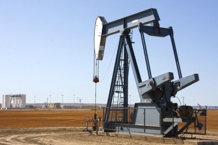 Citi: США станут ведущим экспортёром нефти в следующем году